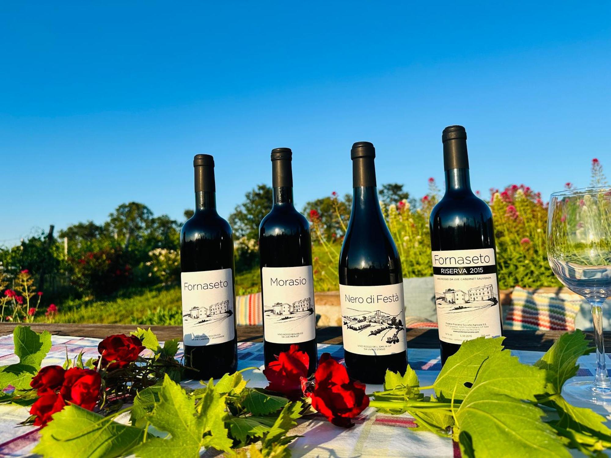 Agriturismo Podere Prasiano Marano sul Panaro Eksteriør bilde