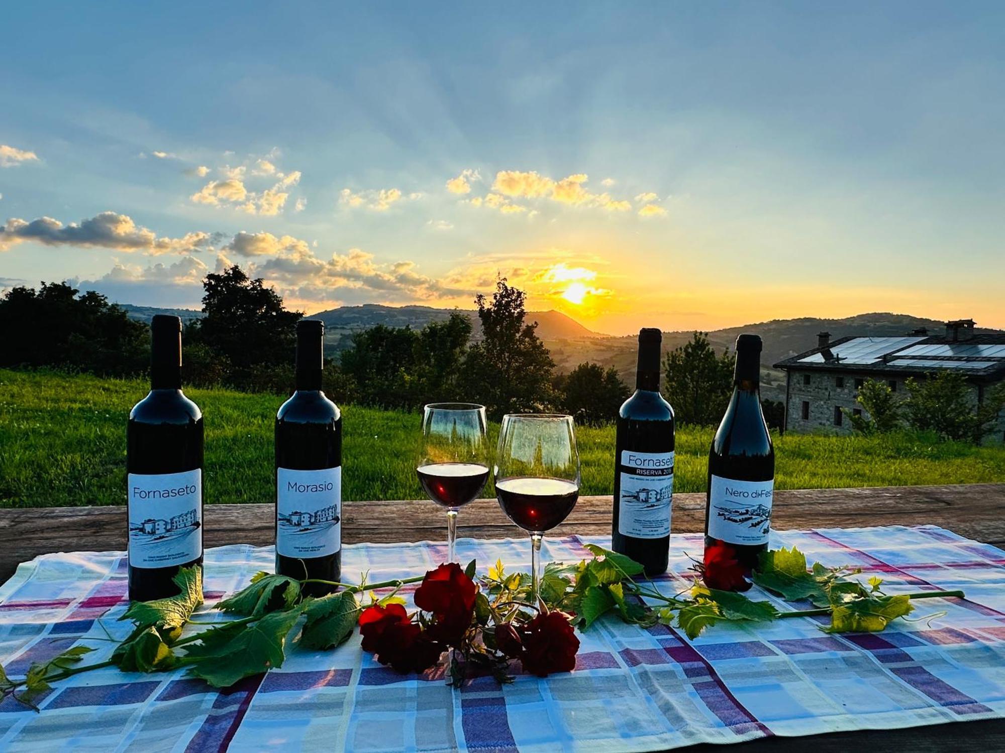 Agriturismo Podere Prasiano Marano sul Panaro Eksteriør bilde