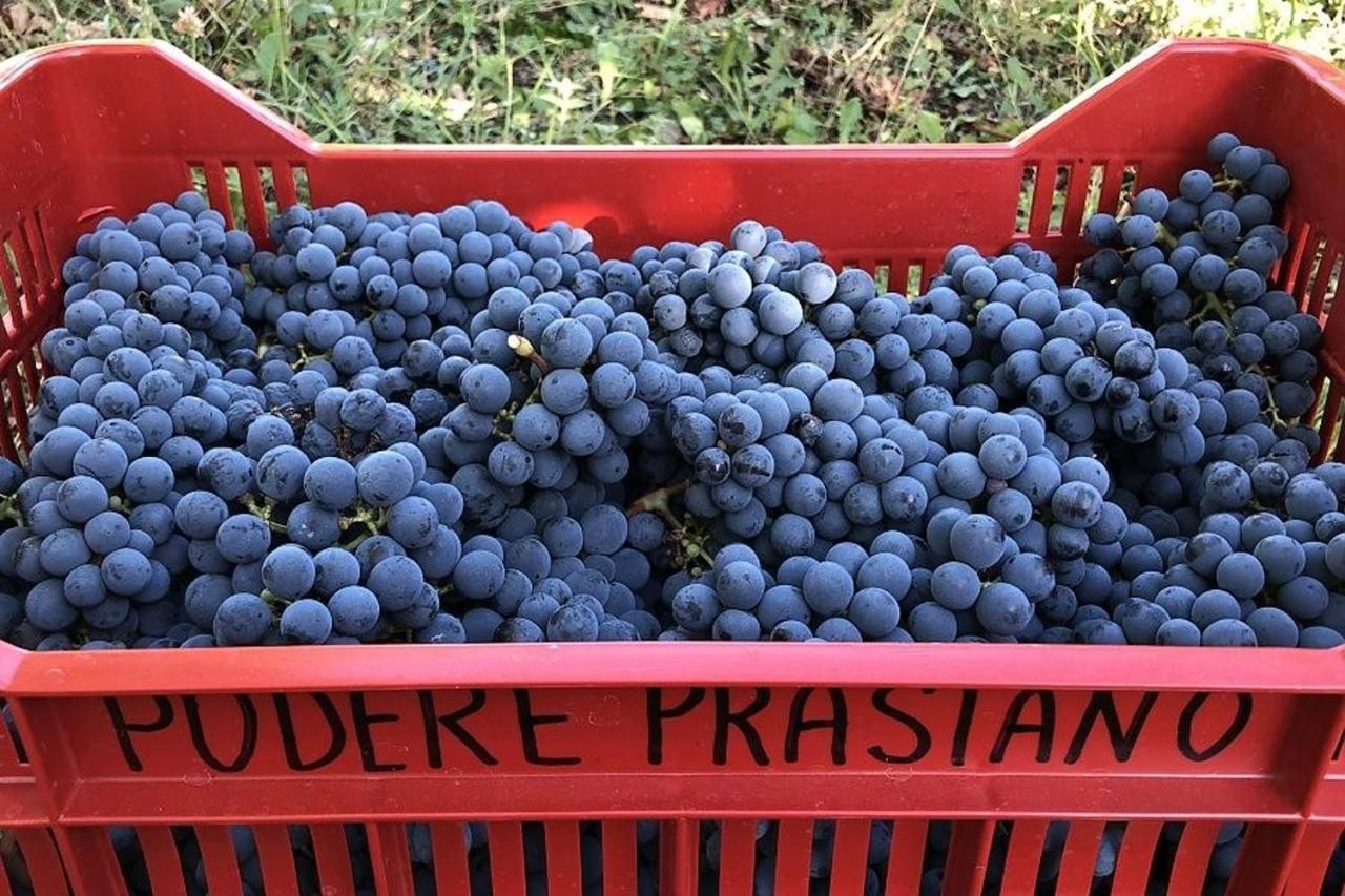 Agriturismo Podere Prasiano Marano sul Panaro Eksteriør bilde
