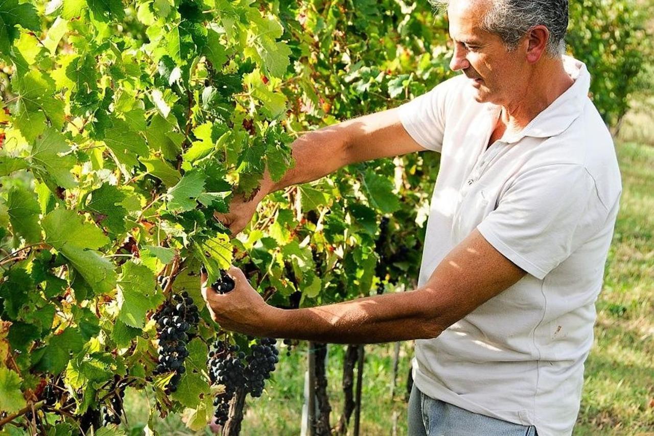 Agriturismo Podere Prasiano Marano sul Panaro Eksteriør bilde